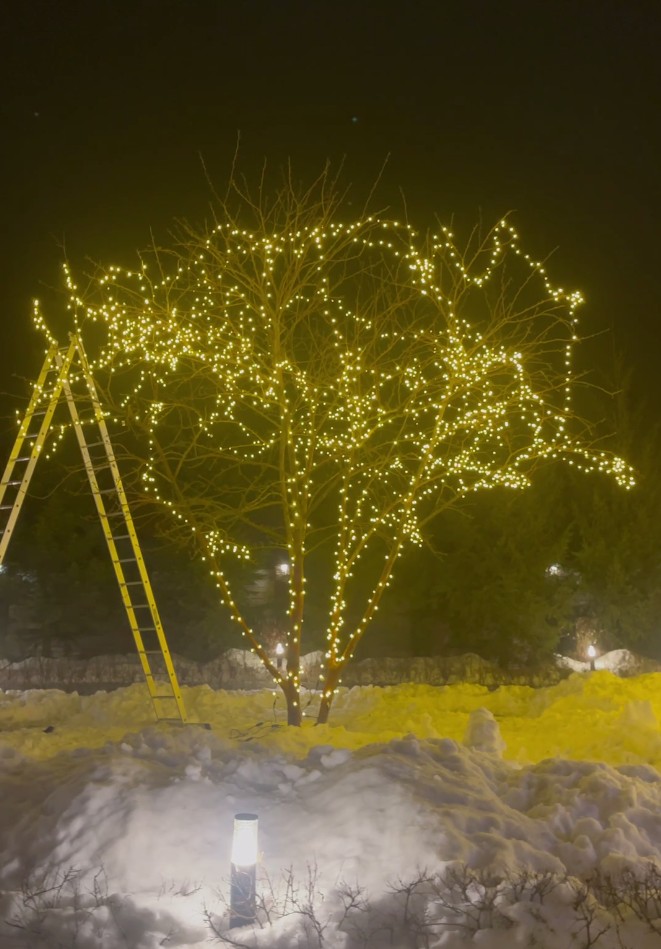 Пример работы 15